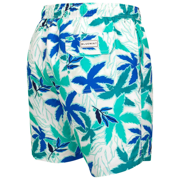 Bluemint arthus swimwear