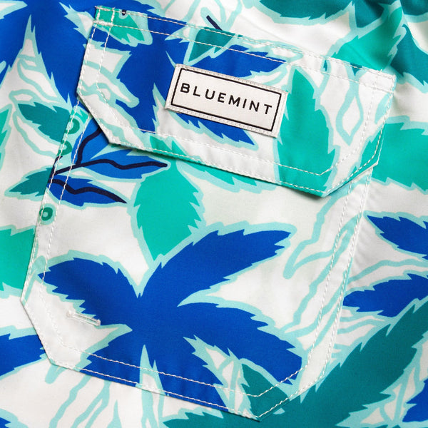 Bluemint arthus swimwear