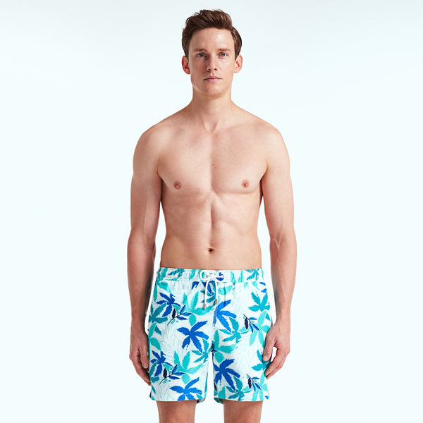 Bluemint arthus swimwear