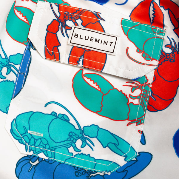 Bluemint arthus swimwear