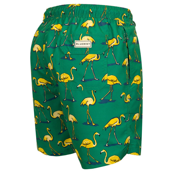 Bluemint arthus swimwear