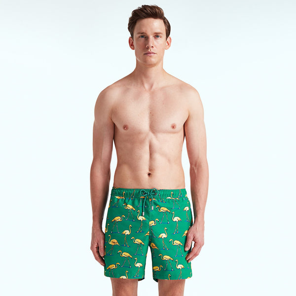 Bluemint arthus swimwear