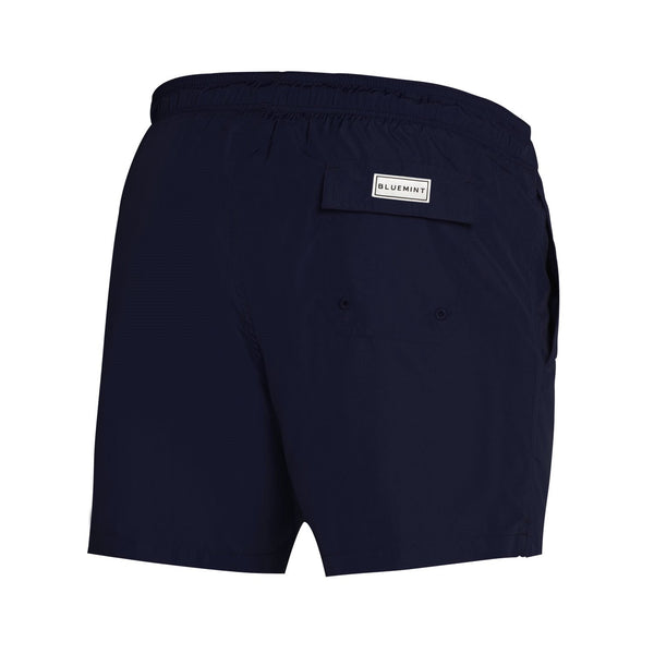 Bluemint logan swimwear