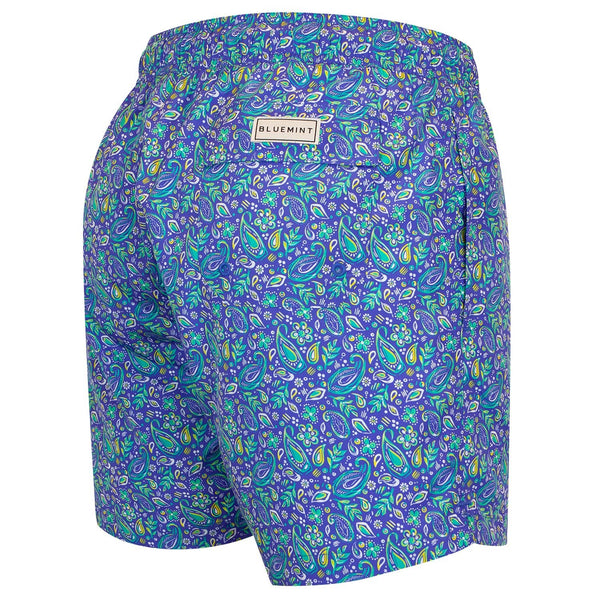 Bluemint logan swimwear