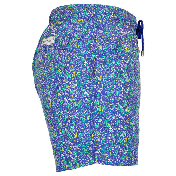 Bluemint logan swimwear
