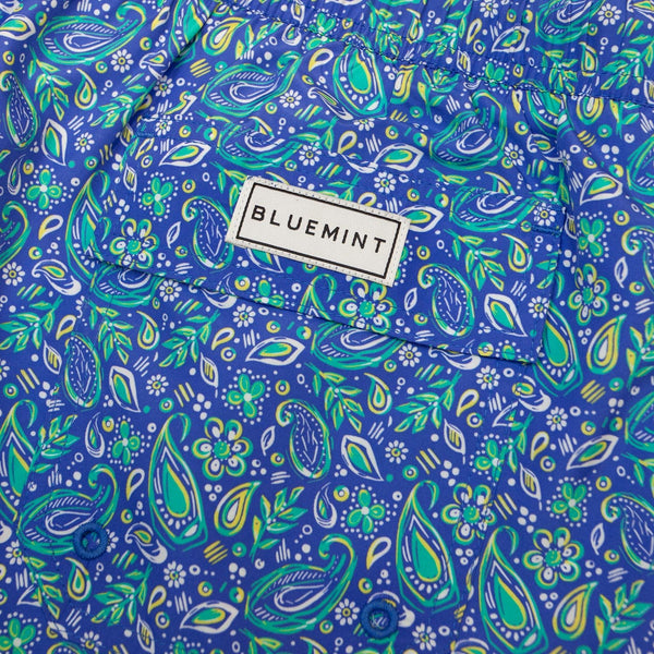 Bluemint logan swimwear