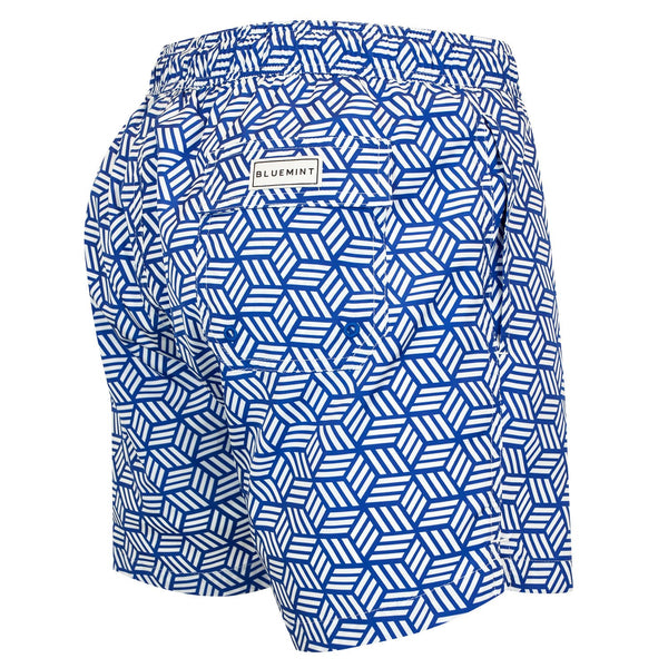 Bluemint logan swimwear