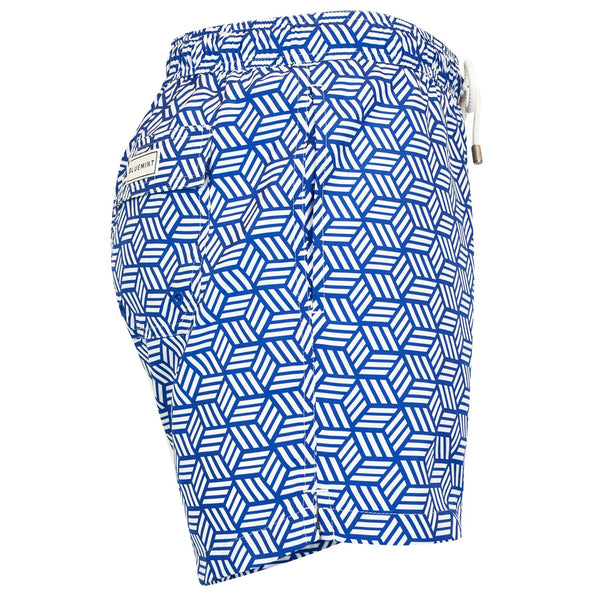 Bluemint logan swimwear