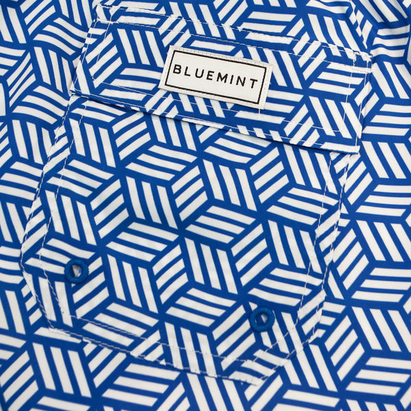 Bluemint logan swimwear