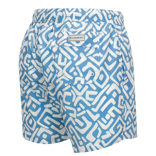 Bluemint logan swimwear