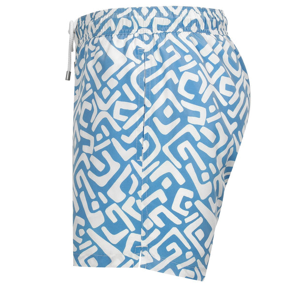 Bluemint logan swimwear