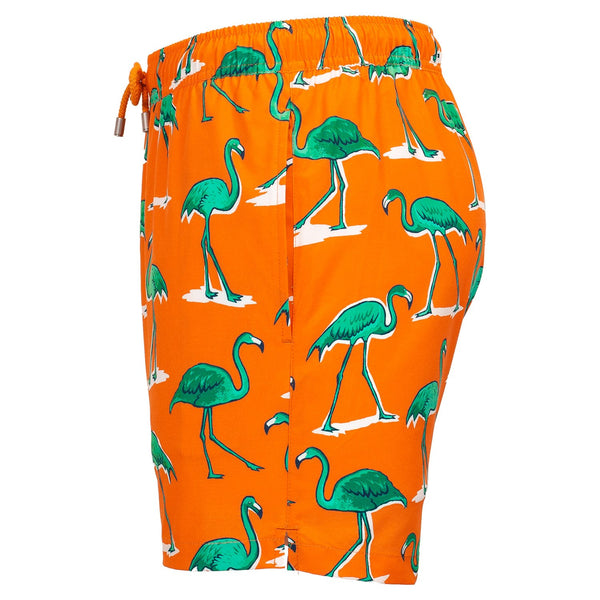 Bluemint arthus stretch swimwear