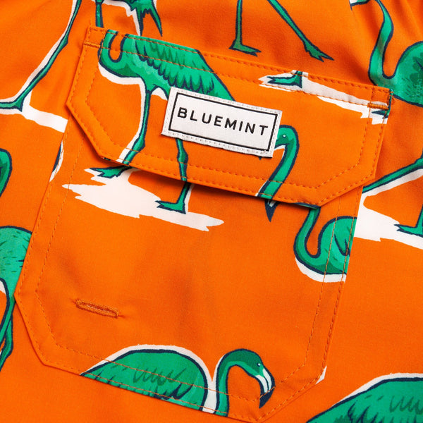 Bluemint arthus stretch swimwear