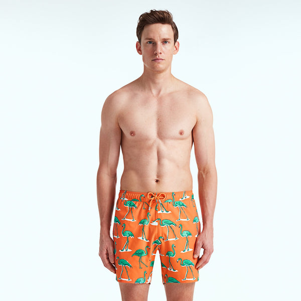 Bluemint arthus stretch swimwear