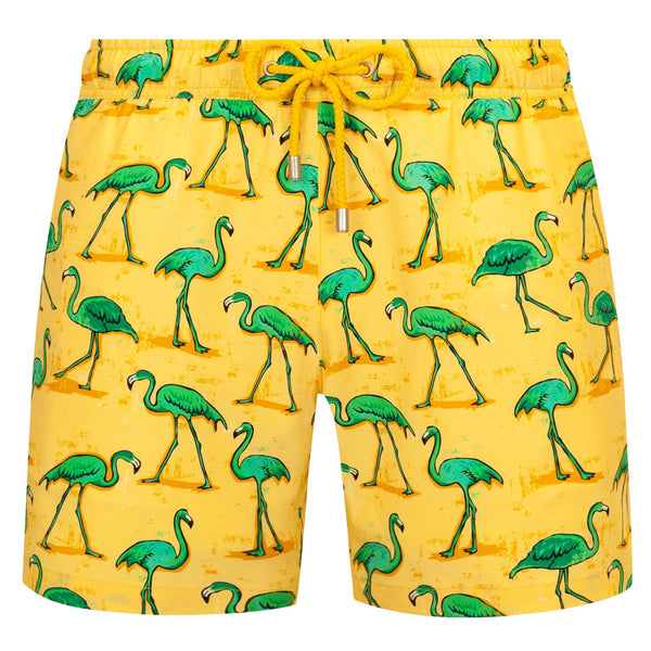 Bluemint arthus stretch swimwear