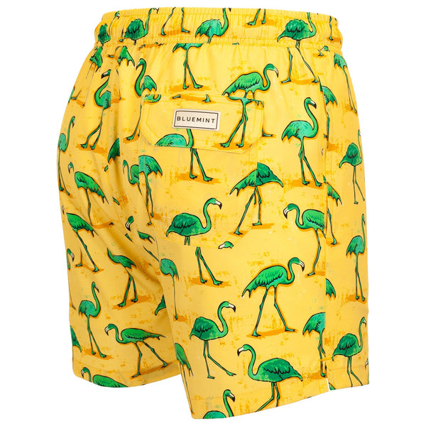Bluemint arthus stretch swimwear