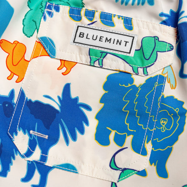 Bluemint arthus boy swimwear