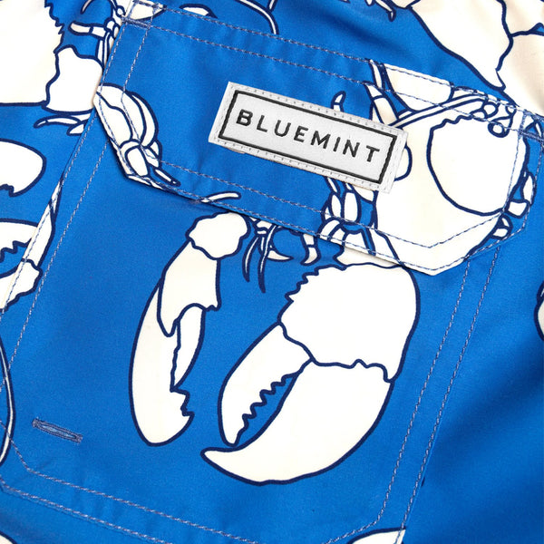 Bluemint arthus boy swimwear