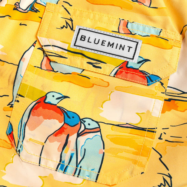 Bluemint arthus boy swimwear