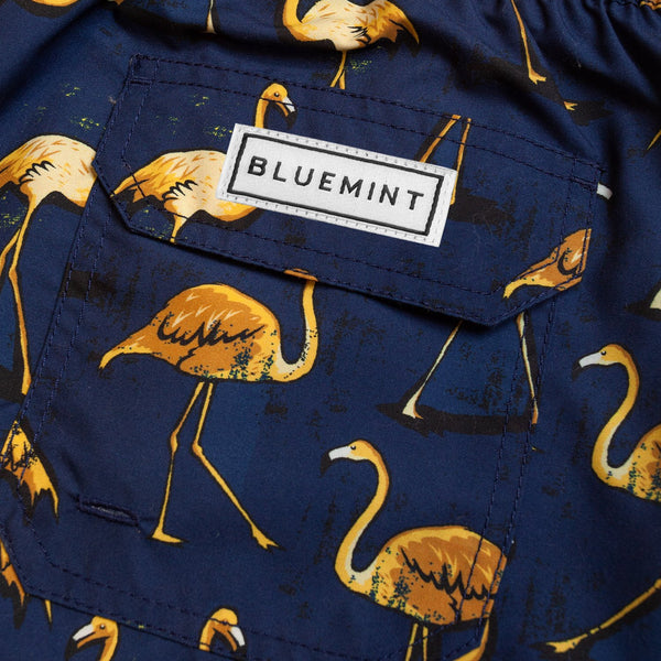 Bluemint arthus boy swimwear