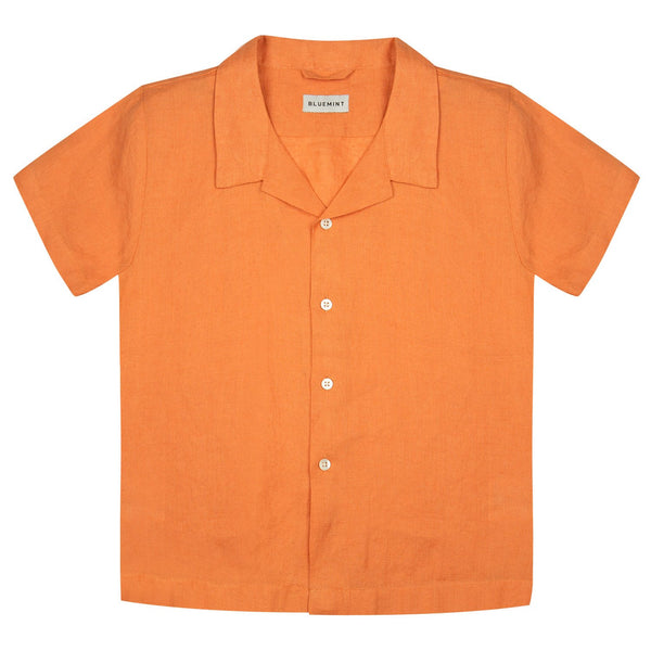 Bluemint peter shirts