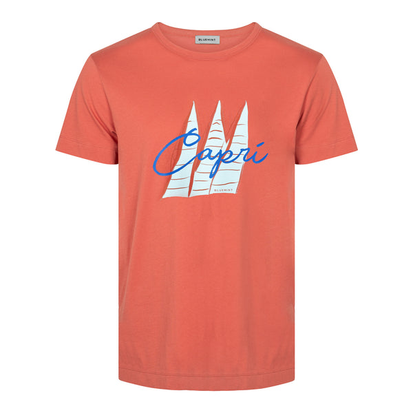 Bluemint ricci printed t-shirts