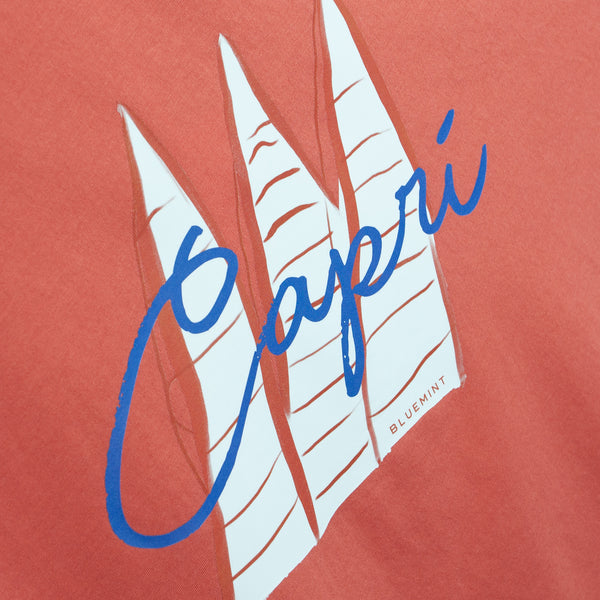 Bluemint ricci printed t-shirts