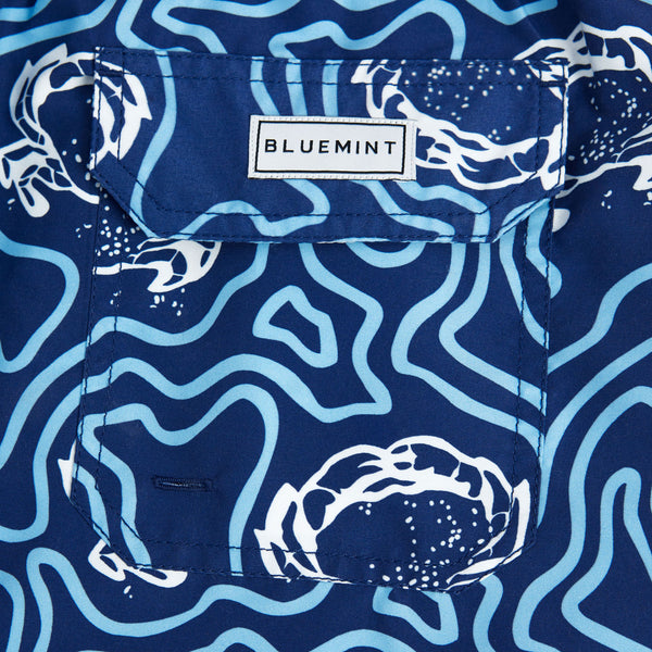 Bluemint arthus swimwear