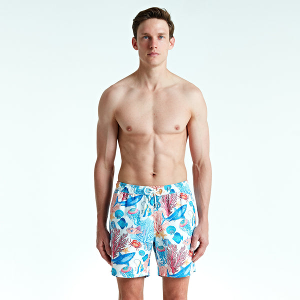 Bluemint arthus swimwear