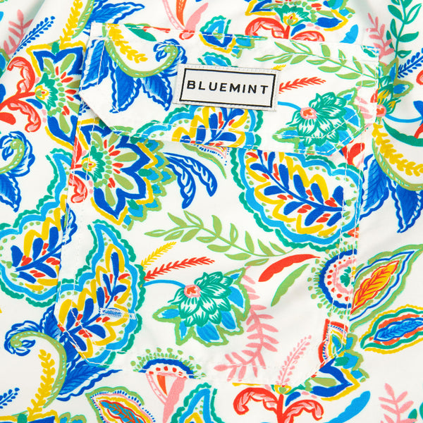 Bluemint arthus swimwear