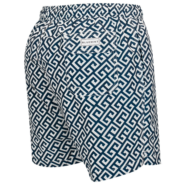 Bluemint arthus swimwear