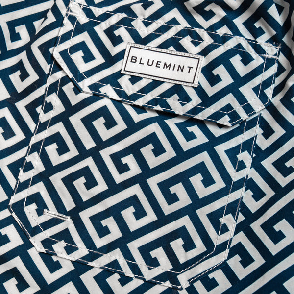 Bluemint arthus swimwear