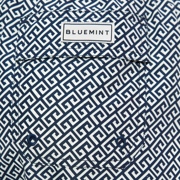 Bluemint logan swimwear