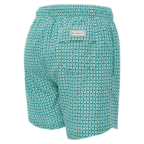 Bluemint logan swimwear