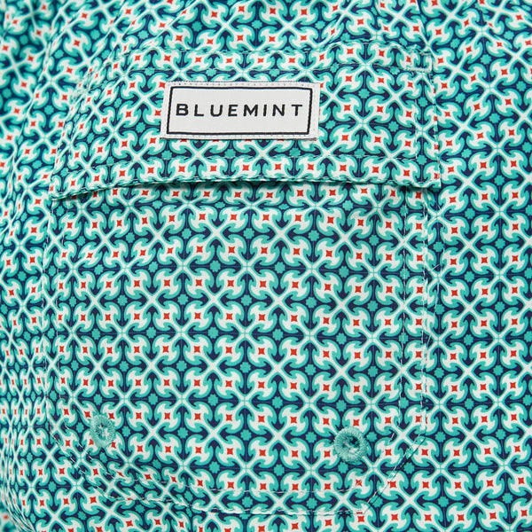 Bluemint logan swimwear