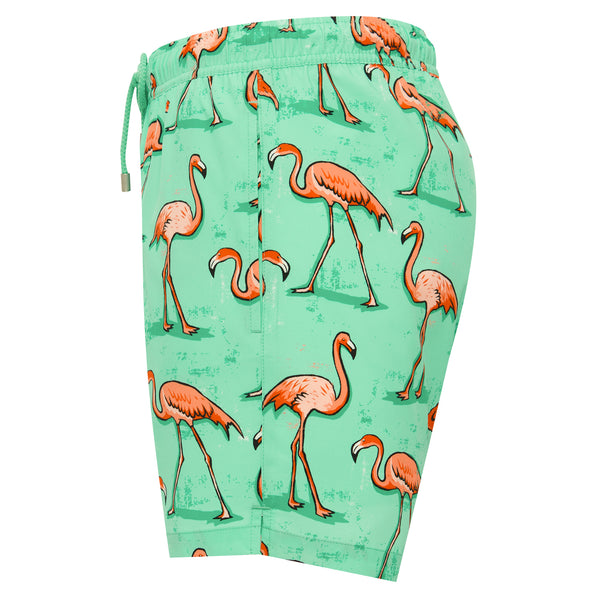 Bluemint arthus stretch swimwear