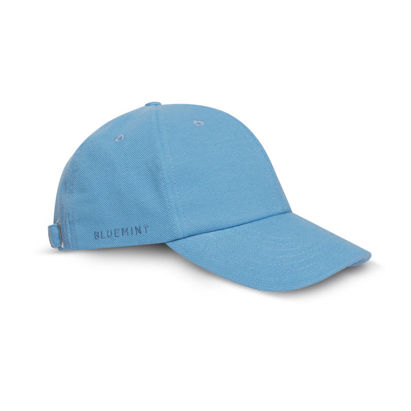 Bluemint rex hats