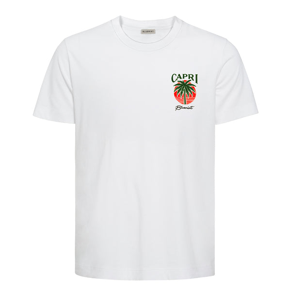 Bluemint nolan printed t-shirts
