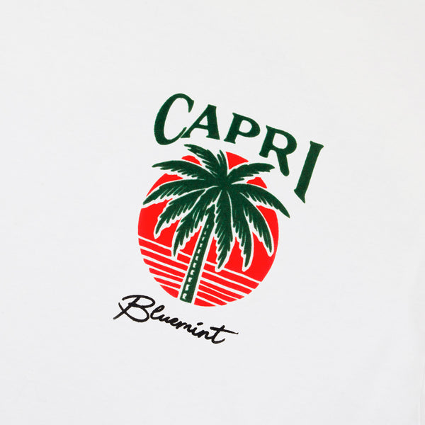 Bluemint nolan printed t-shirts
