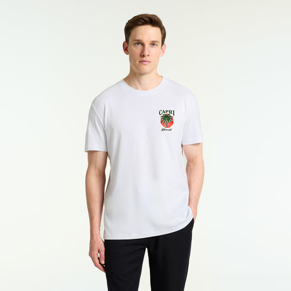 Bluemint nolan printed t-shirts