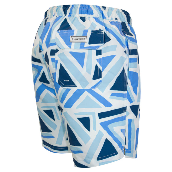 Bluemint arthus swimwear