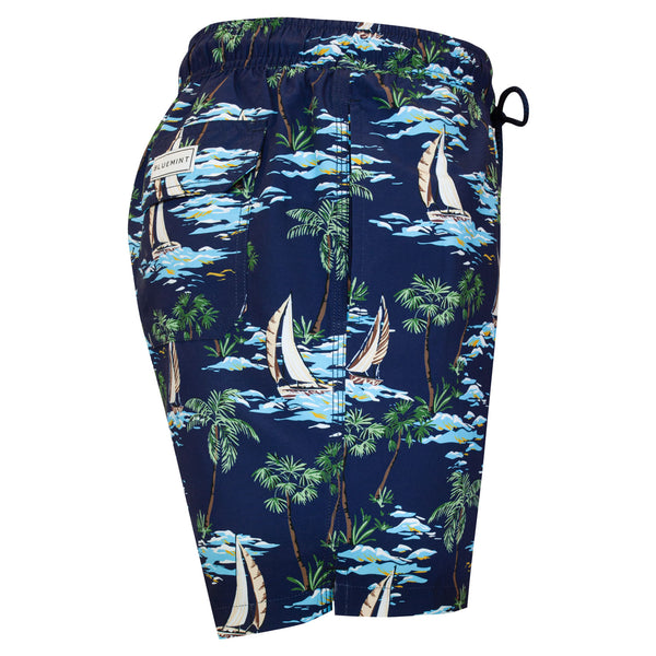 Bluemint arthus swimwear