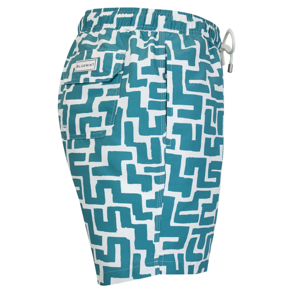 Bluemint arthus swimwear