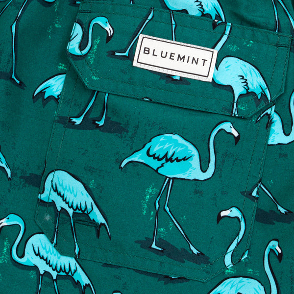 Bluemint arthus swimwear
