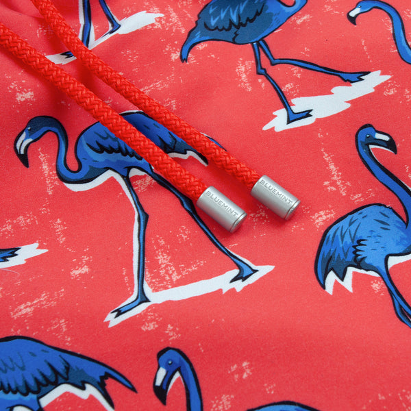 Bluemint arthus swimwear