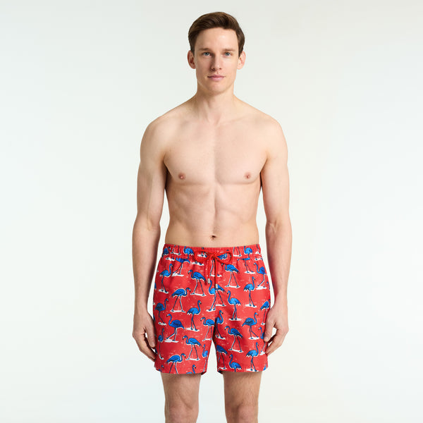 Bluemint arthus swimwear