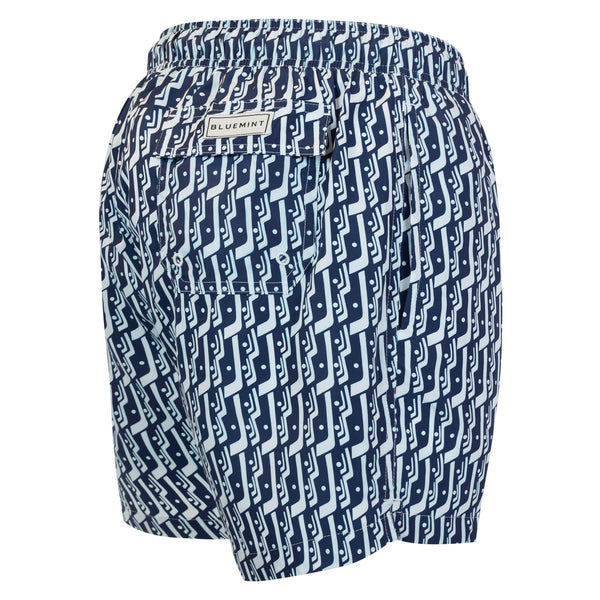 Bluemint logan swimwear