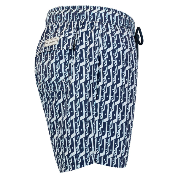 Bluemint logan swimwear