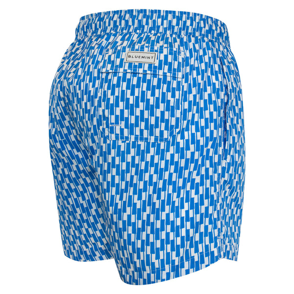 Bluemint logan swimwear