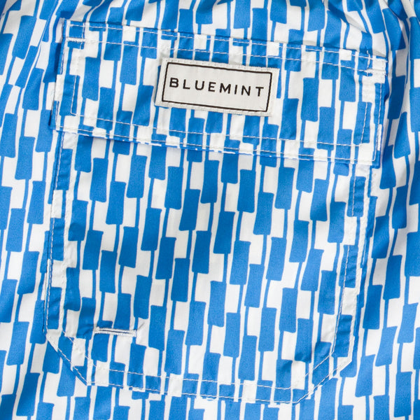 Bluemint logan swimwear